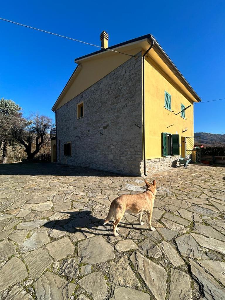 Hostal Il Gelso Trivigno Exterior foto